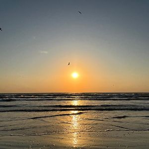 Excelsior Apartaments Mamaia Nord